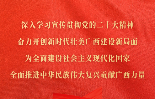深入學(xué)習(xí)宣傳貫徹黨的二十大精神，奮力開(kāi)創(chuàng)新時(shí)代壯美廣西建設(shè)新局面，為全面建設(shè)社會(huì)主義現(xiàn)代化國(guó)家、全面推進(jìn)中華民族偉大復(fù)興貢獻(xiàn)廣西力量